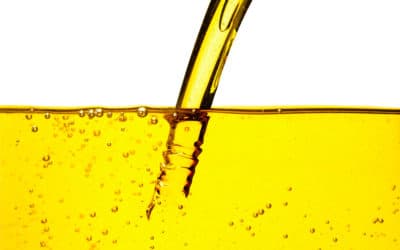 Greasy Business: Boost Profits by Selling Used Vegetable Oil