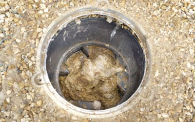 Fatbergs 101: What Happens When You Don’t Recycle Yellow Grease?