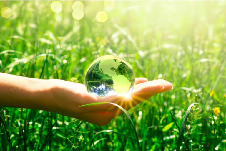 The Benefits of Eco-Friendly Business Practices - GF Commodities