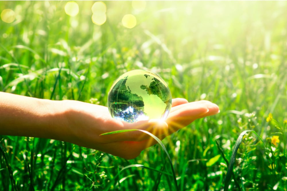 The Rewards of Environmental Advocacy in Business