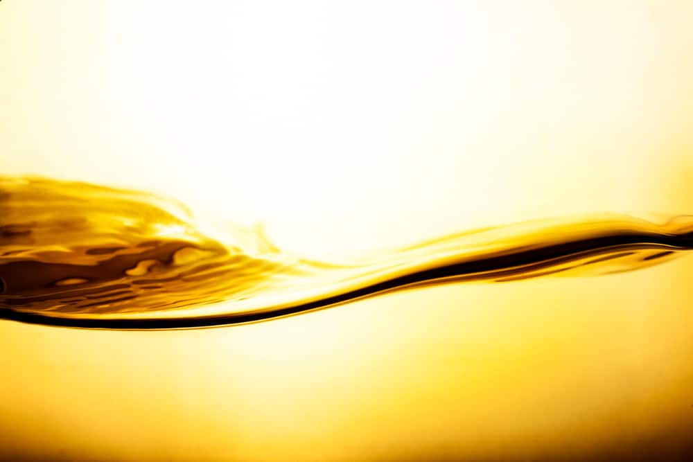used-cooking-oil-management