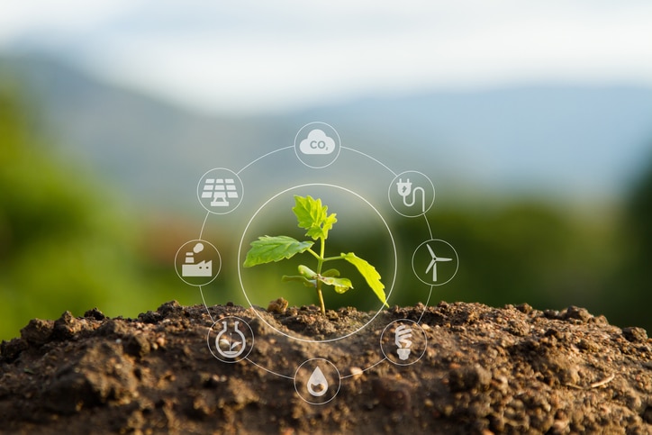 plant-growing-sustainability